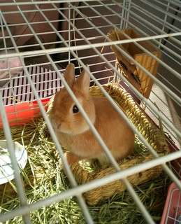android-20151025141001.jpg