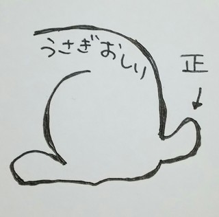 android-20151105194517.jpg