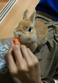 android-20160814115720.jpg
